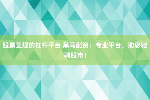 股票正规的杠杆平台 黑马配资：专业平台，助您驰骋股市！