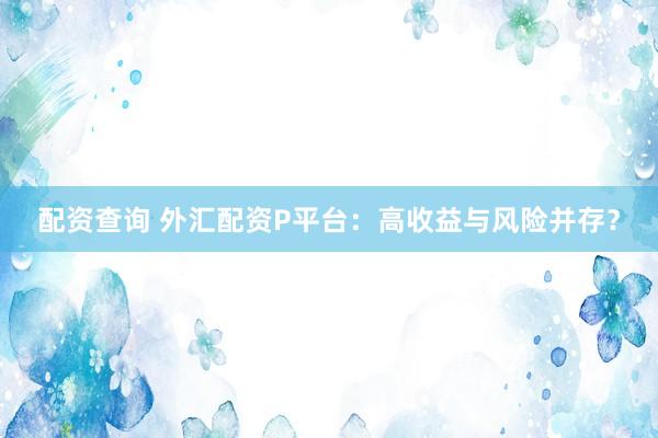 配资查询 外汇配资P平台：高收益与风险并存？
