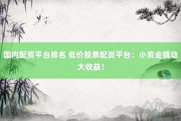 国内配资平台排名 低价股票配资平台：小资金撬动大收益！