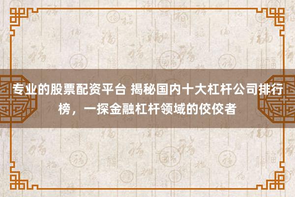 专业的股票配资平台 揭秘国内十大杠杆公司排行榜,一探金融杠杆领域的佼佼者