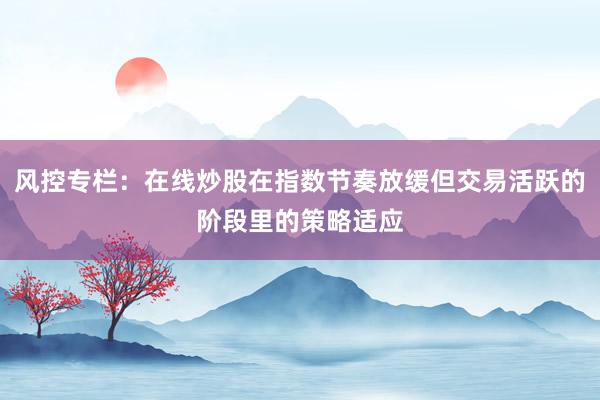 风控专栏：在线炒股在指数节奏放缓但交易活跃的阶段里的策略适应