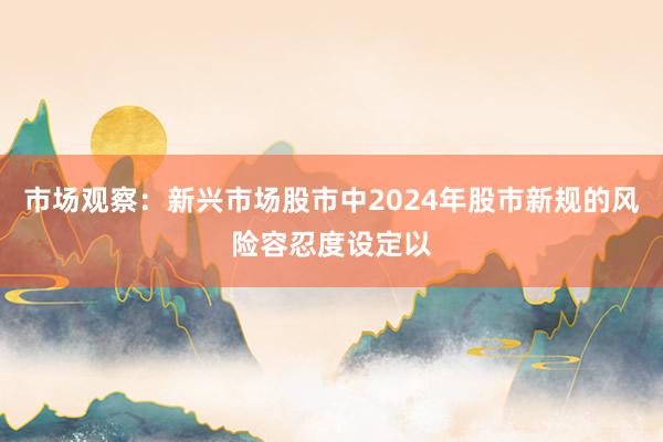市场观察：新兴市场股市中2024年股市新规的风险容忍度设定以