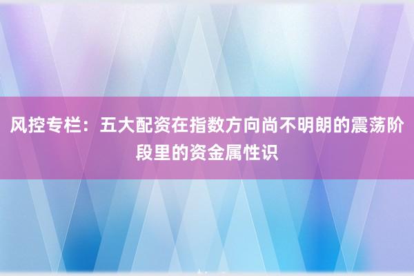 风控专栏：五大配资在指数方向尚不明朗的震荡阶段里的资金属性识