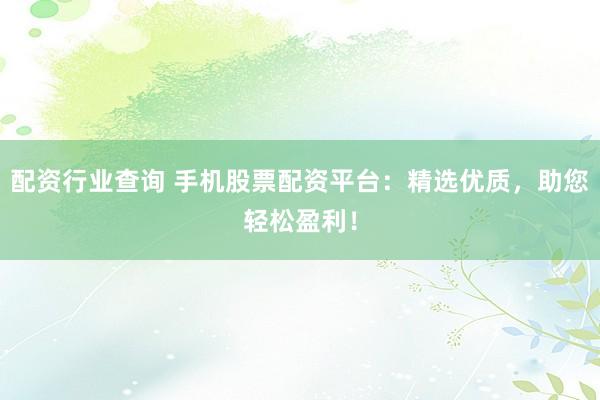 配资行业查询 手机股票配资平台：精选优质，助您轻松盈利！