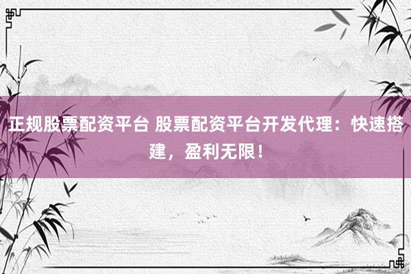 正规股票配资平台 股票配资平台开发代理：快速搭建，盈利无限！