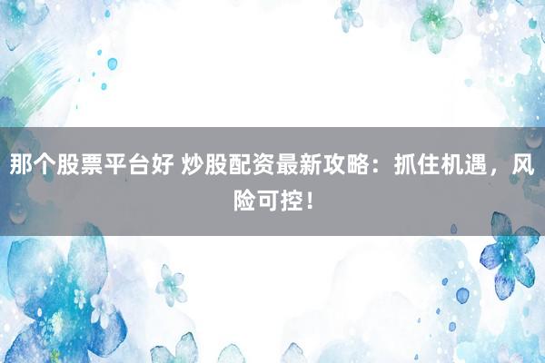 那个股票平台好 炒股配资最新攻略：抓住机遇，风险可控！